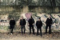 WhatsApp Image 2024-11-24 at 11.37.59 (1)